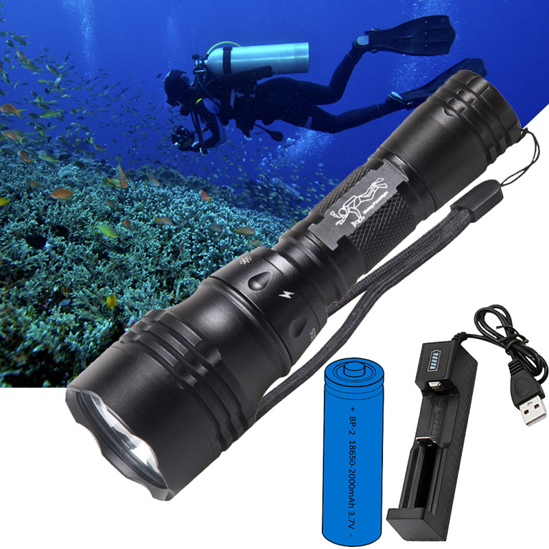 Diving Lamp Portable 10W T6 L2 - Fish Finder Charger recension och pris